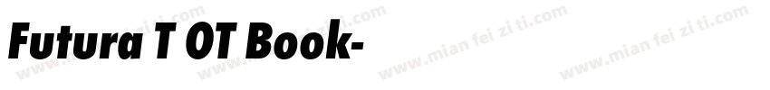 Futura T OT Book字体转换
